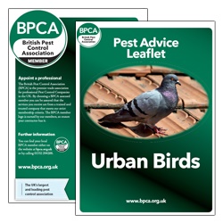 Birds-pest-advice-leaflet-BPCA Birds-pest-advice-leaflet-BPCA